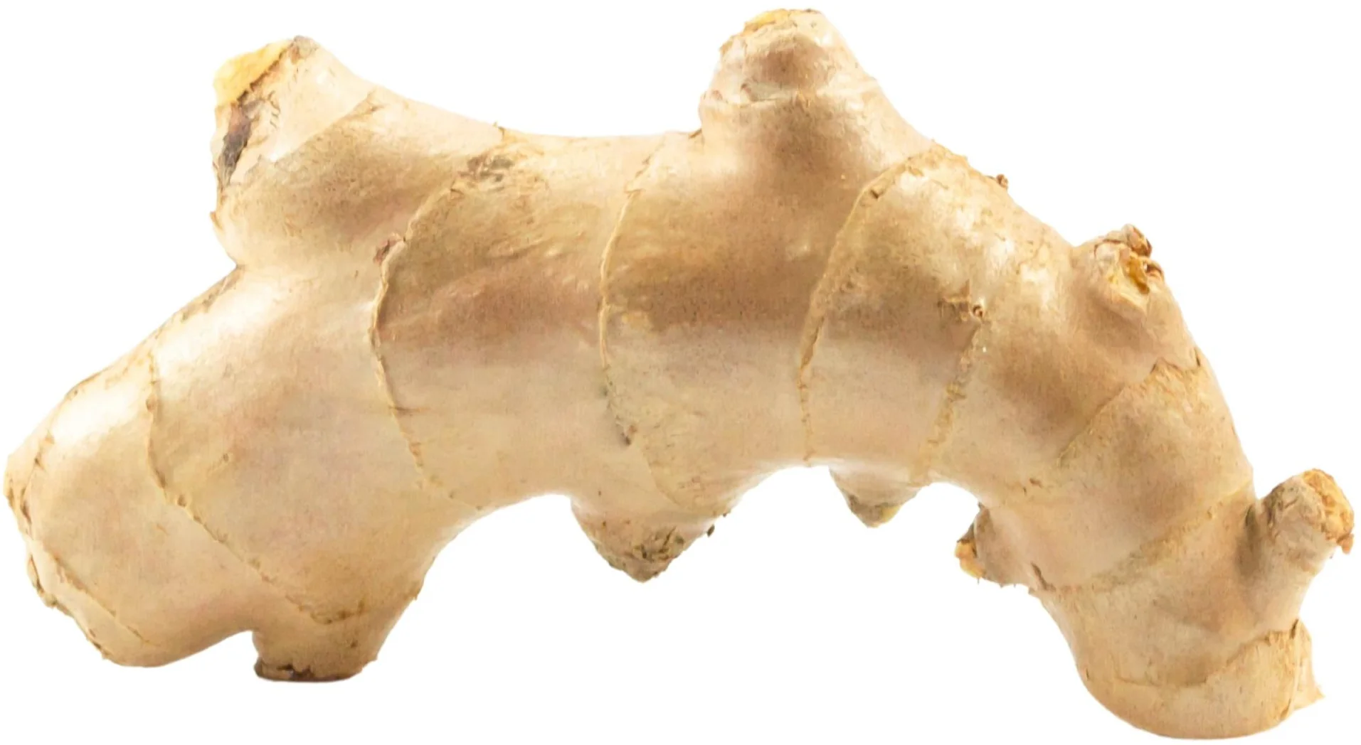 Fresh - Ginger — Each (25 LB)