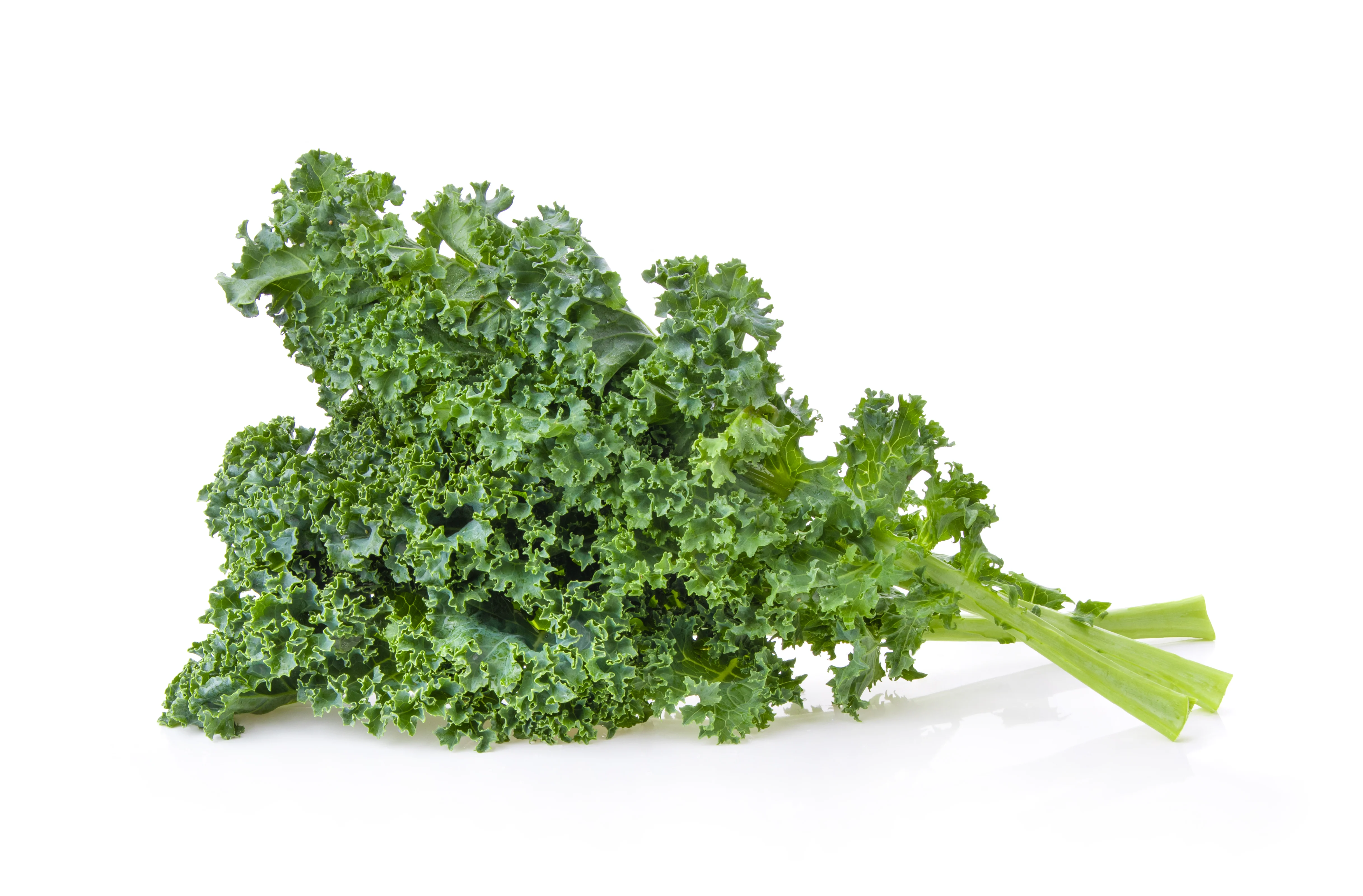 Fresh - Green Kale (Bunch) — Case (24 CT)