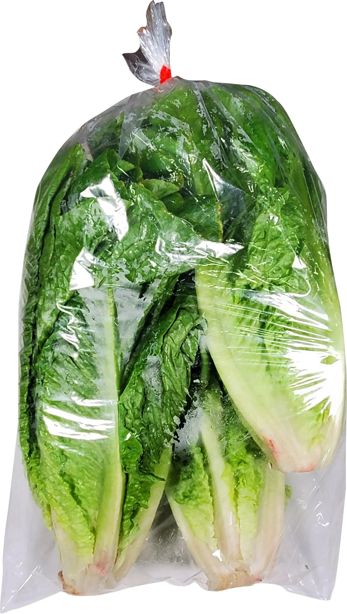 Fresh - Lettuce - Romaine — Case (3 CT)