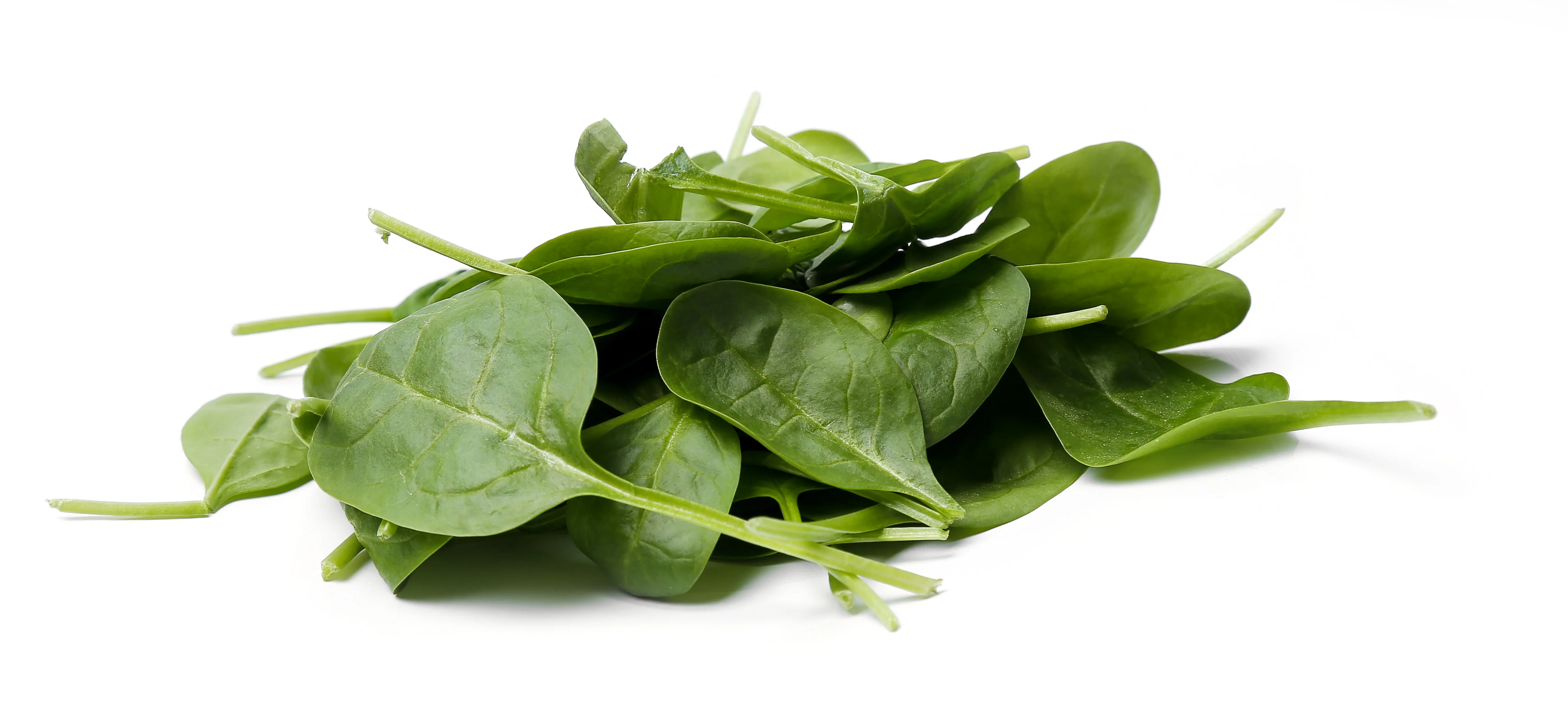 Fresh - Spinach - Baby — Each (2 LB)