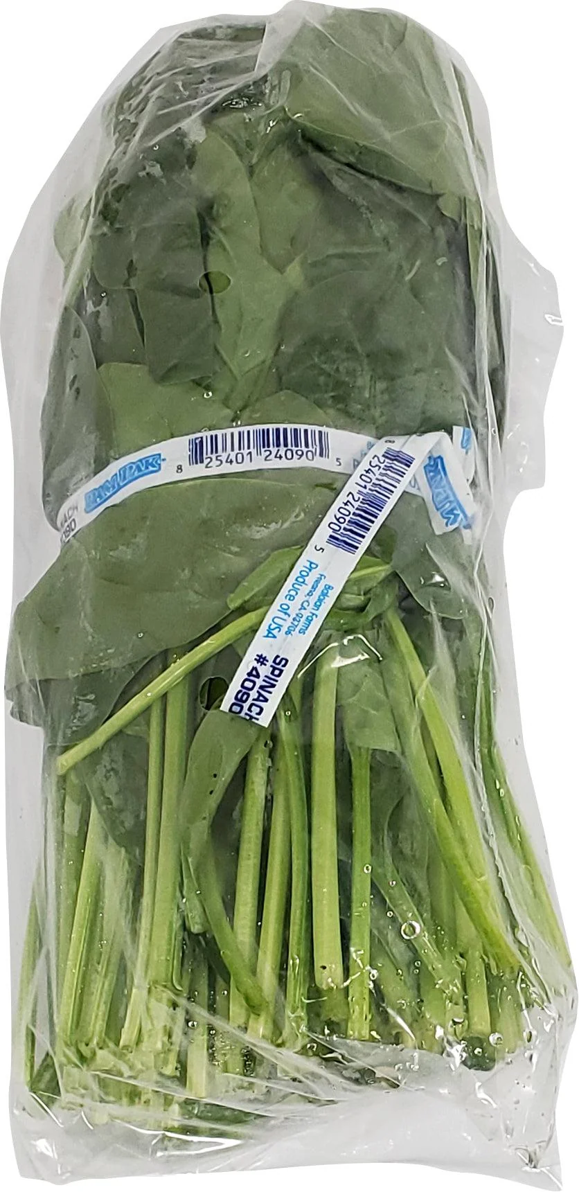 Fresh - Spinach - Bunch — Case (24 CT)
