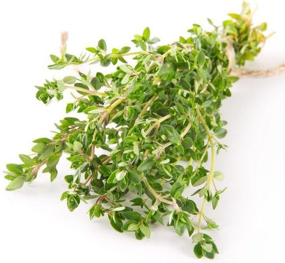 Fresh - Thyme Green — Case (12 CT)