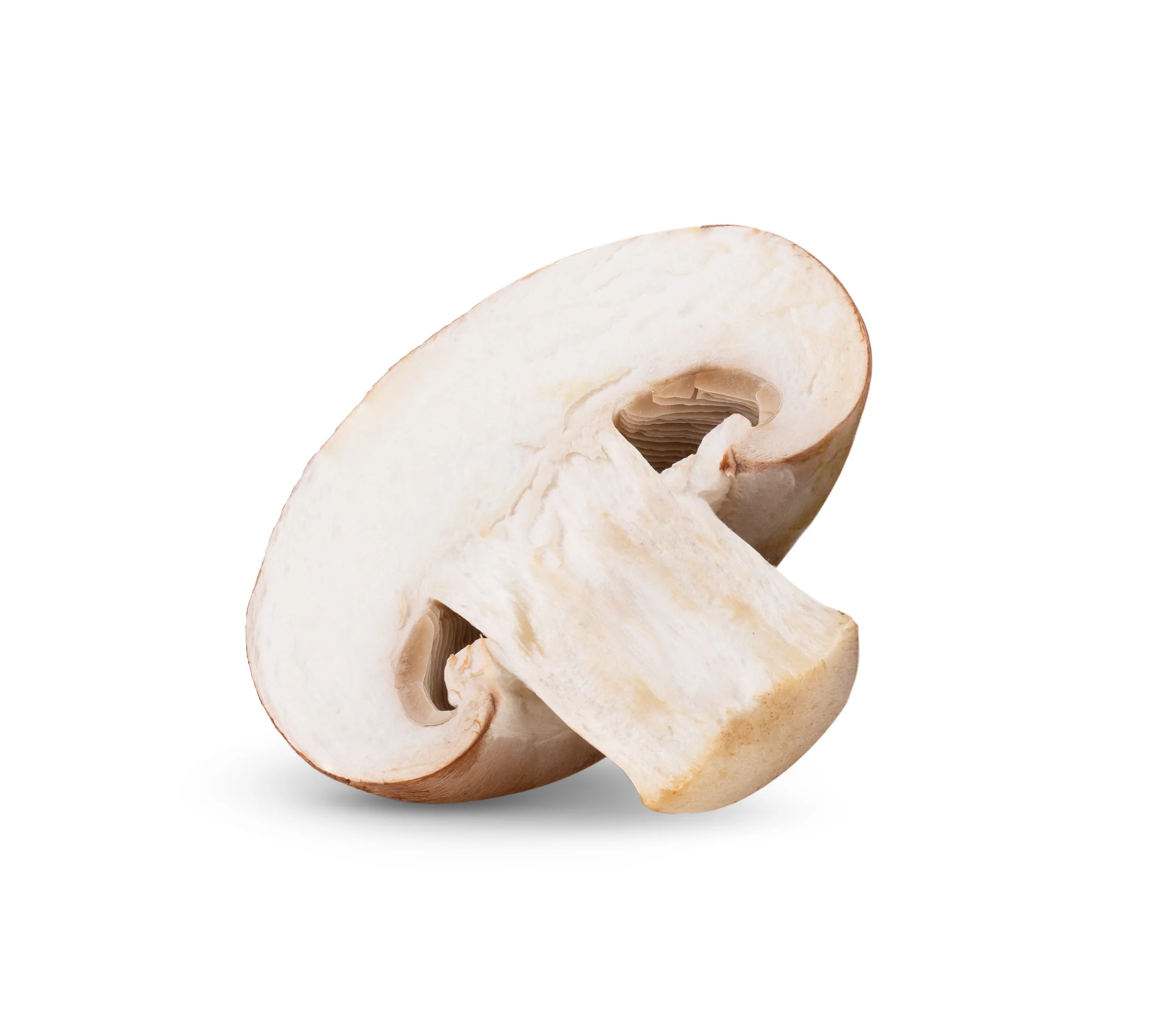 Sliced Mushrooms