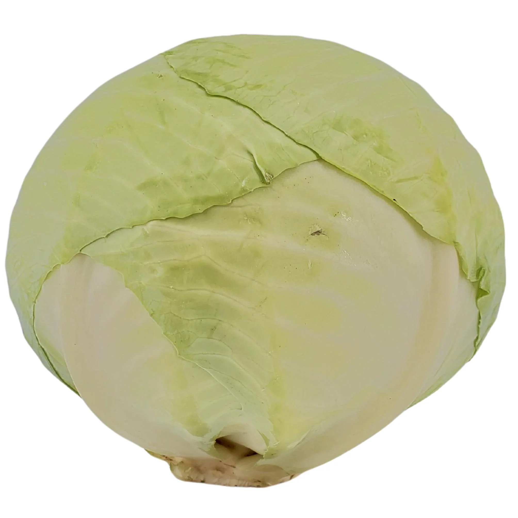 Fresh - Cabbage - Green — Each (1 CT)