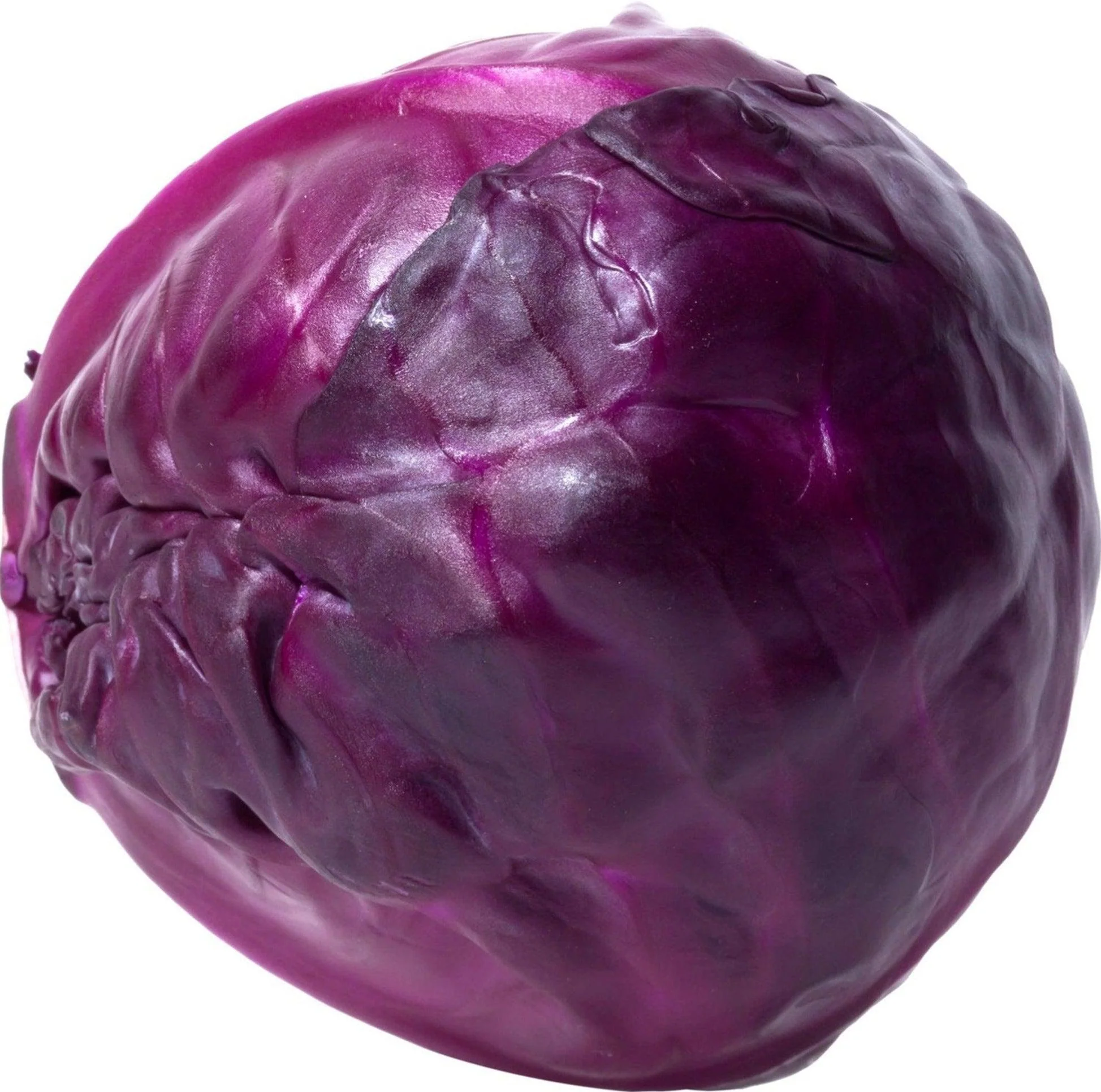 Fresh - Cabbage - Red/Purple — Case (10 CT)