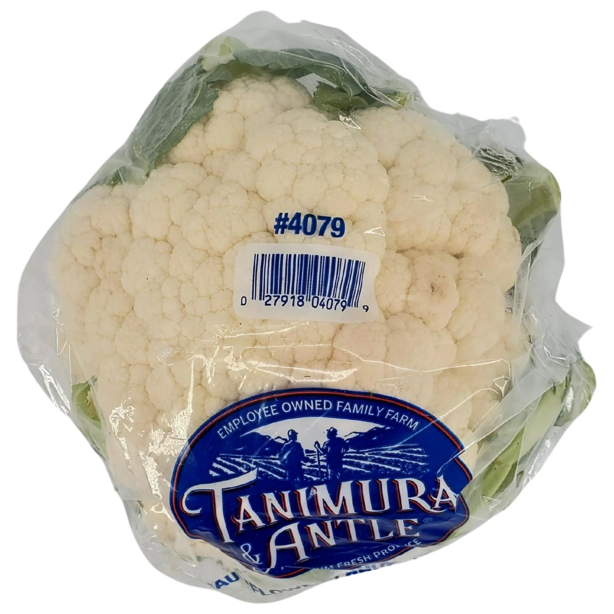 Fresh - Cauliflower — Case (16 CT)