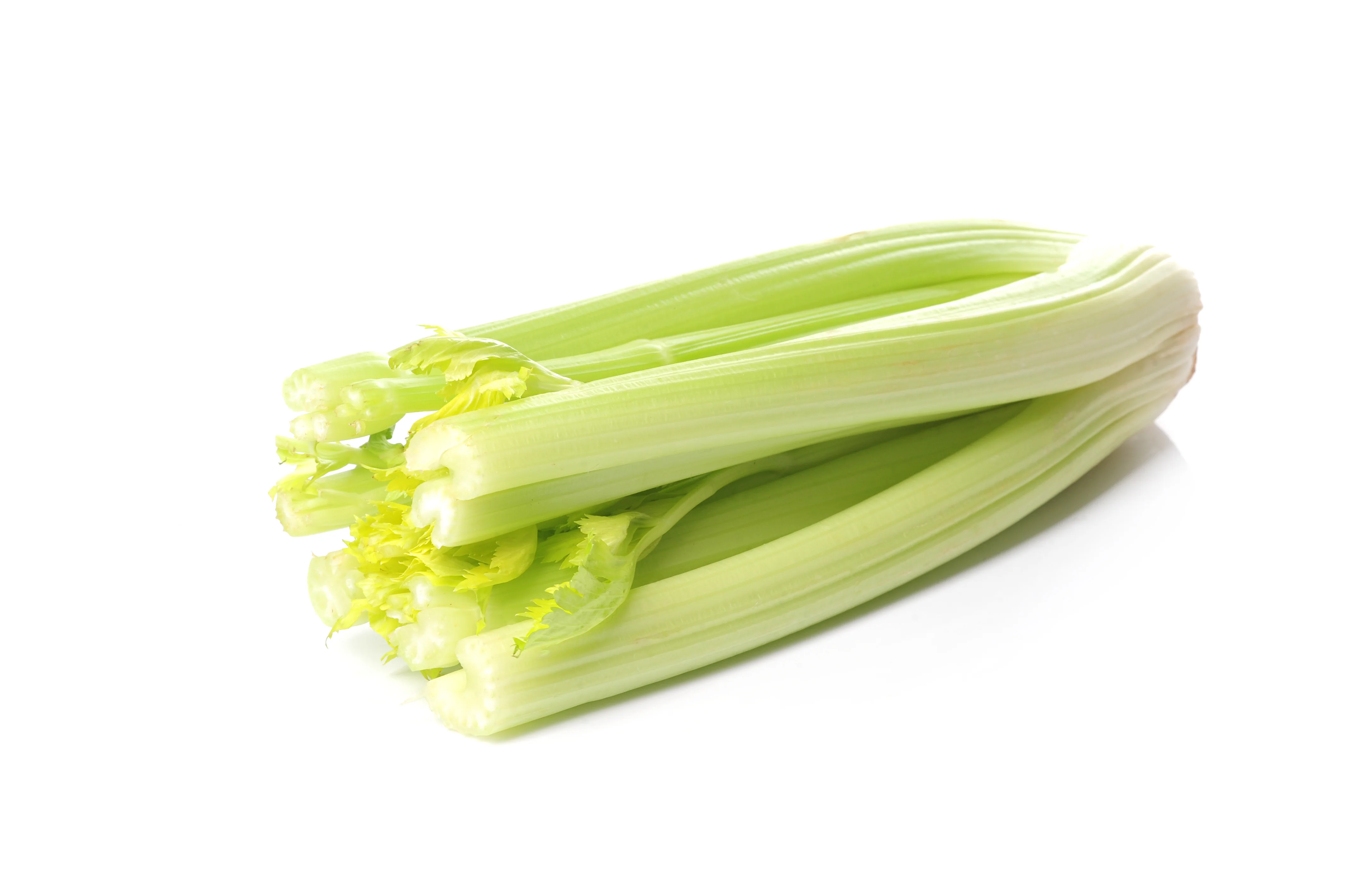 Fresh - Celery — Case (24 CT)