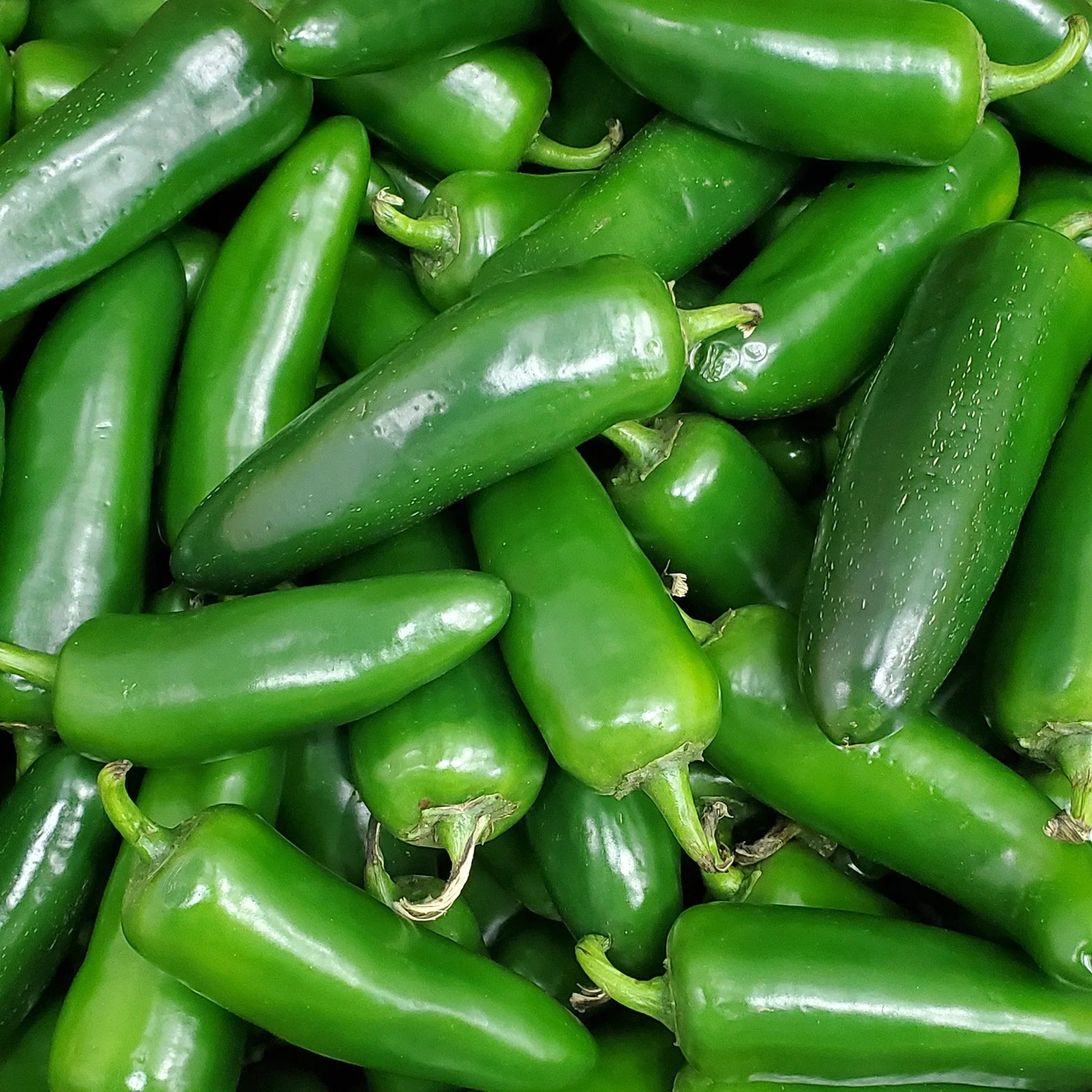 Fresh - Jalapeno Peppers — Each (35 LB)