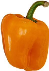 Fresh - Orange Bell Peppers — Each (11 LB)
