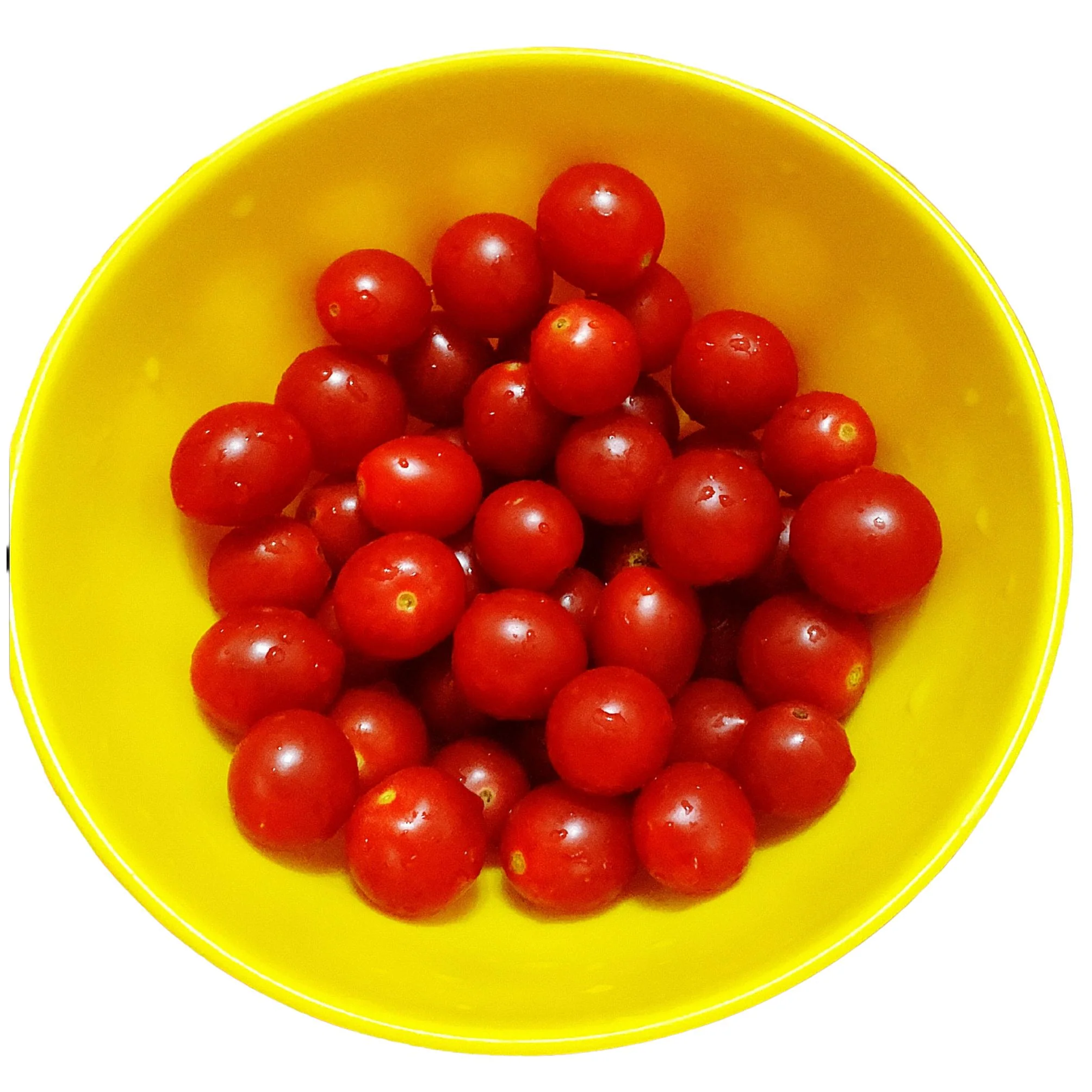 Fresh - Tomato - Grape/Cherry Medley — Case (8 CT)