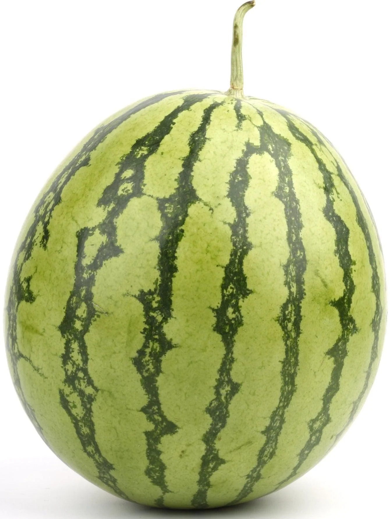 Fresh - Watermelon - Large — Each (1 CT)