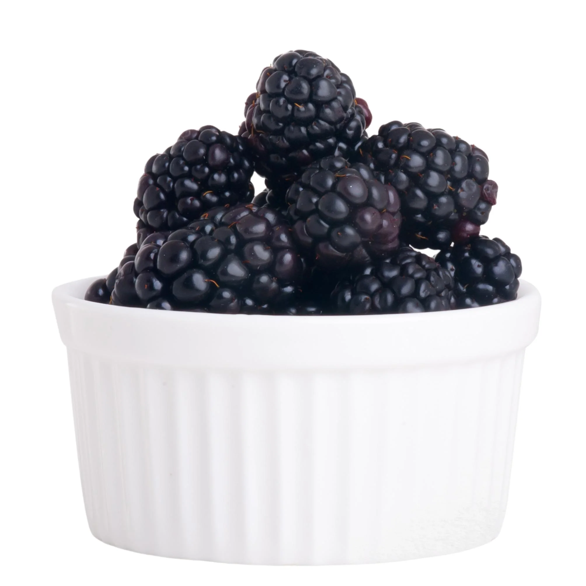 Fresh - Blackberry — Case (12 x 170 G)