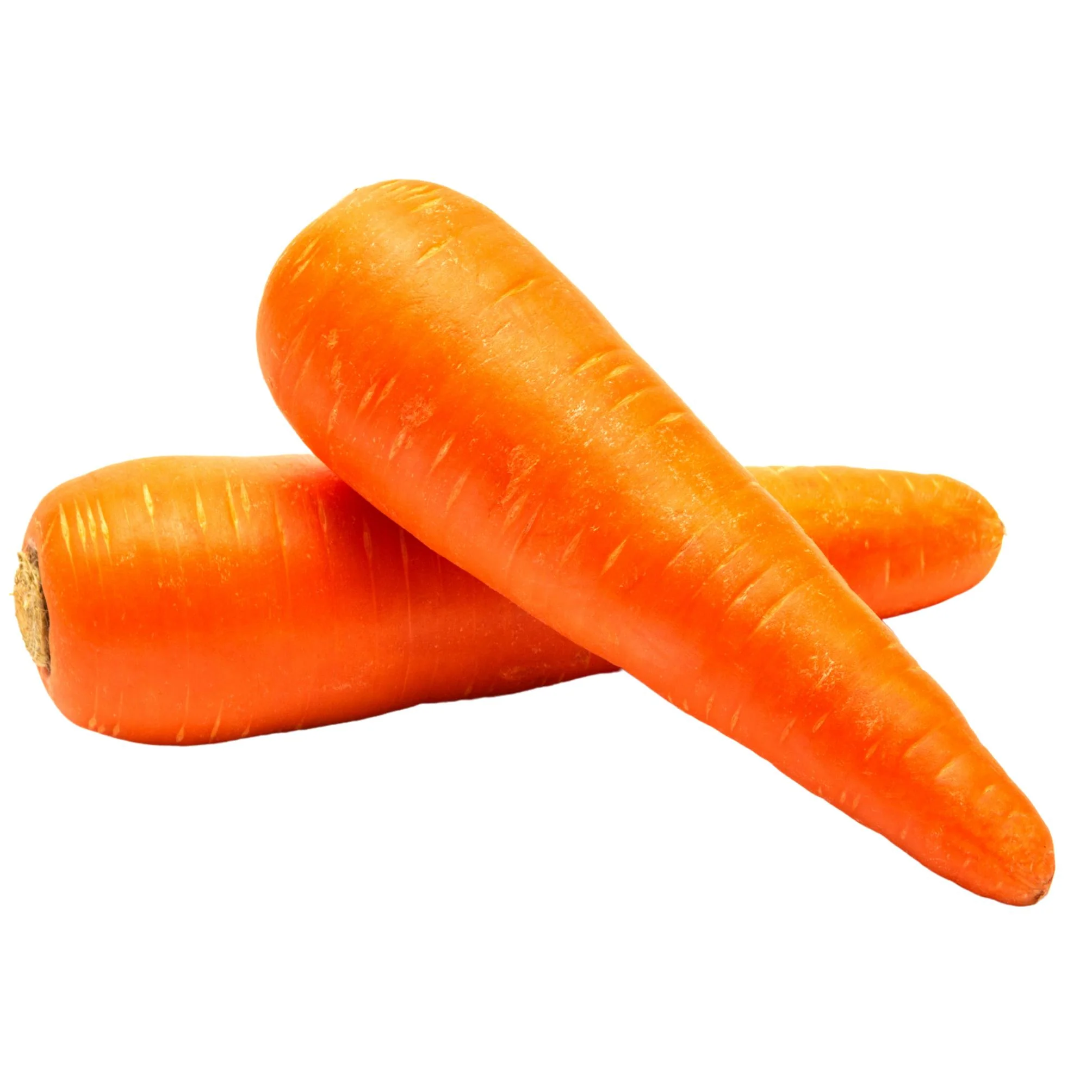 Fresh - Carrot — Each (50 LB)