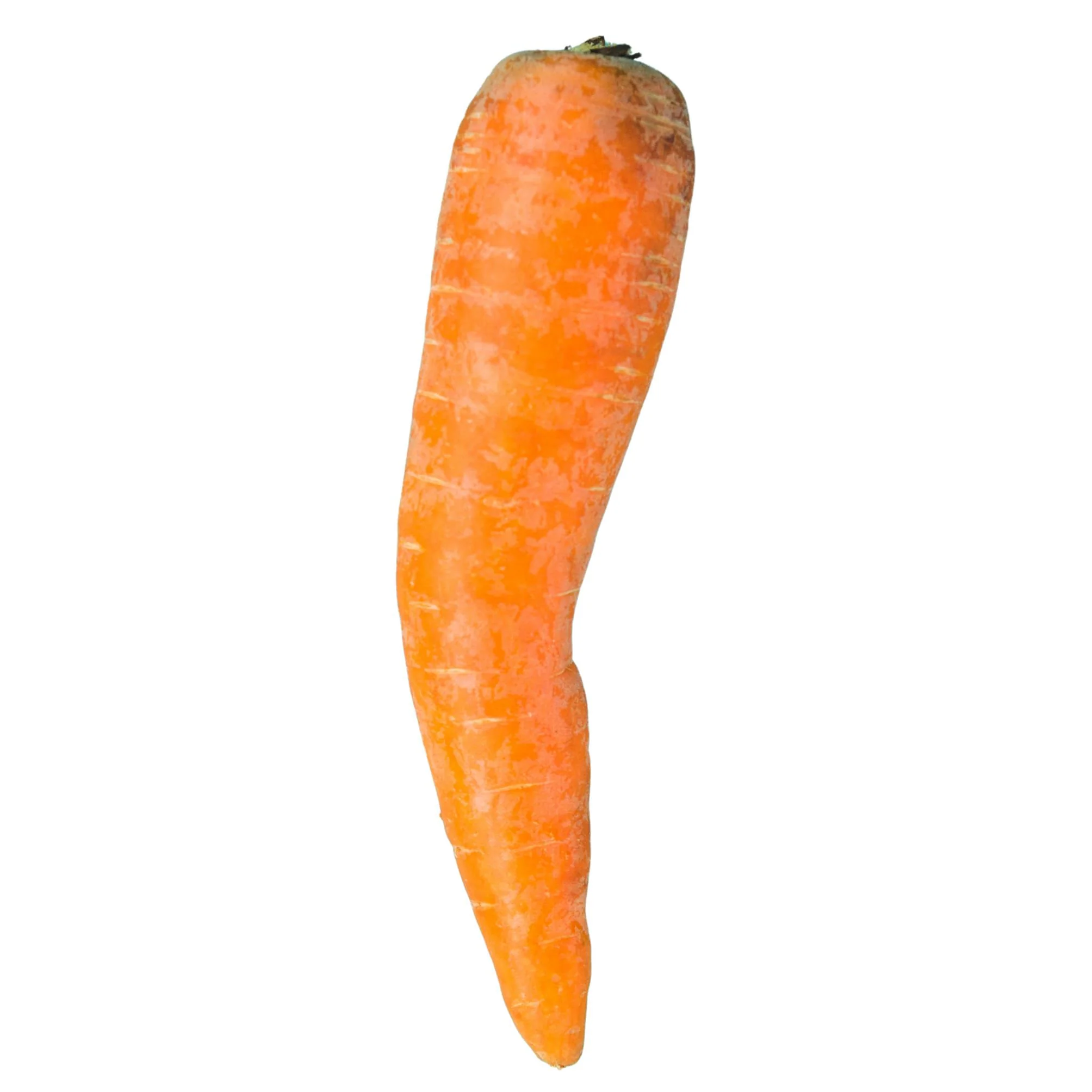 Fresh - Indian Carrot — Each (22 LB)