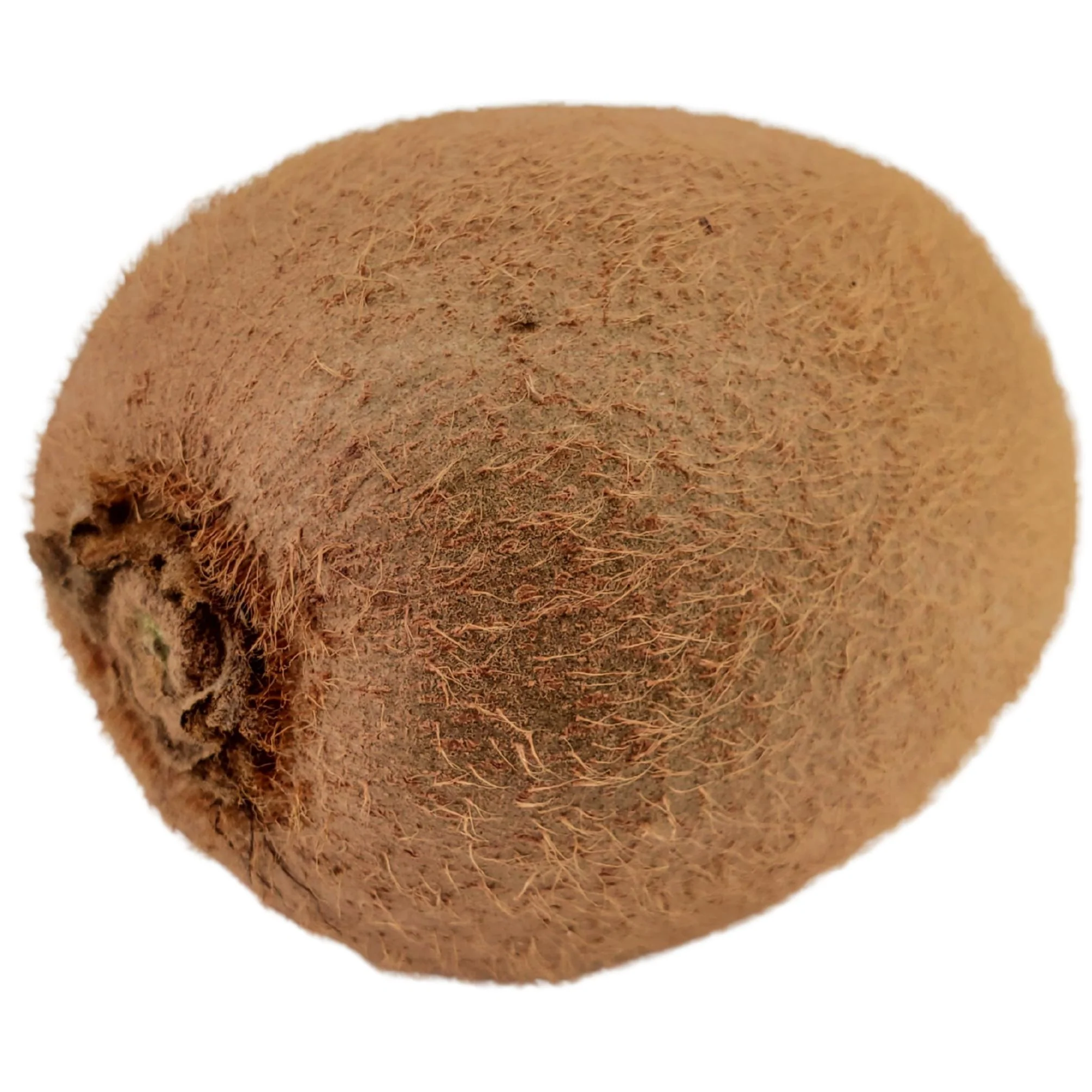 Fresh - Kiwi — Case (20 x 600 G)