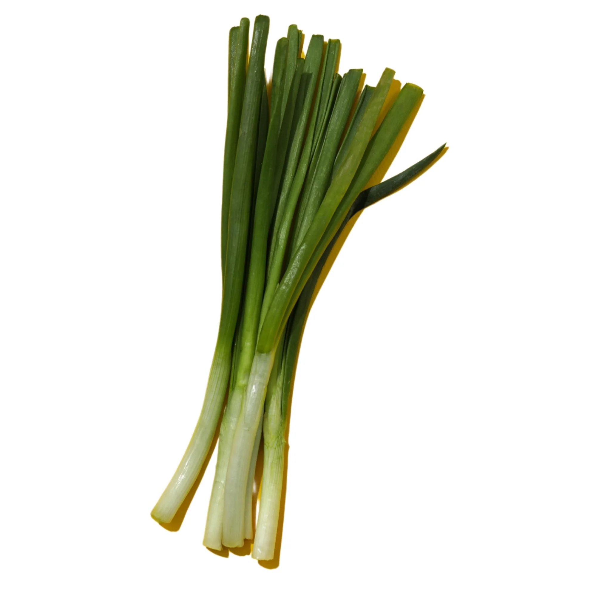 Fresh - Onion - Green — Case (48 CT)