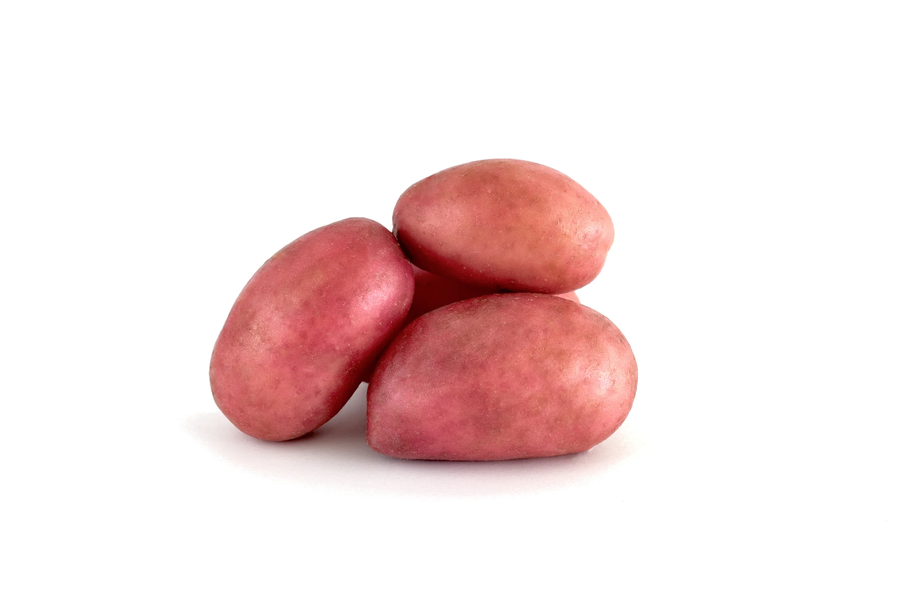 Fresh - Potato - Red - Mini — Each (50 LB)
