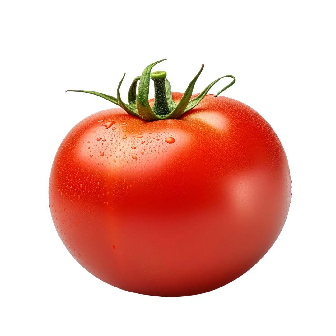 Fresh - Tomato - 6x6 — Pack (5 LB)