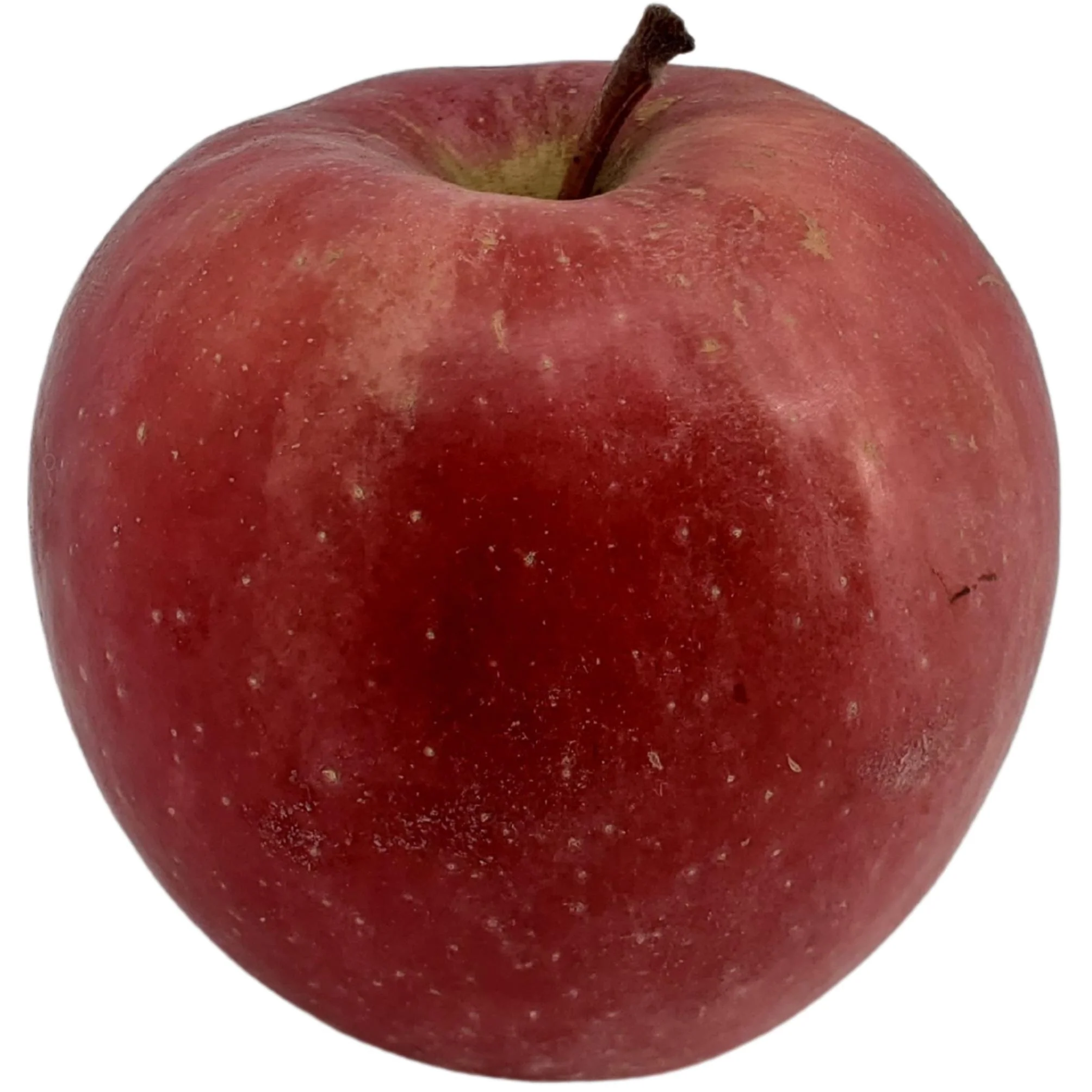 Fresh - Apple - Fuji — Each (10 LB)