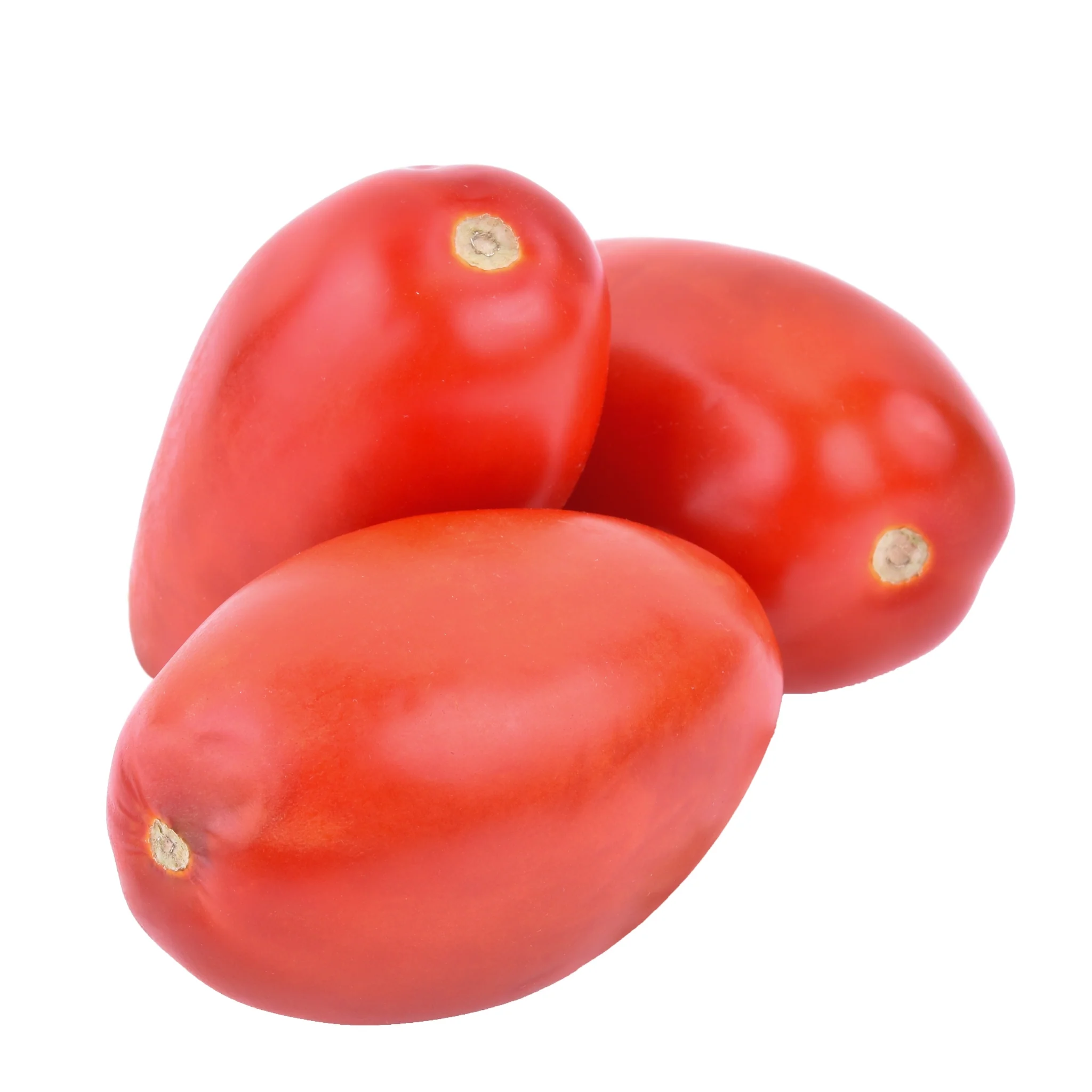 Fresh - Tomato - Roma — Each (5 LB)