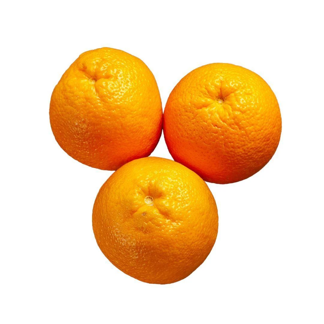 Fresh - Orange - Naval Size 105 — Case (105 CT)