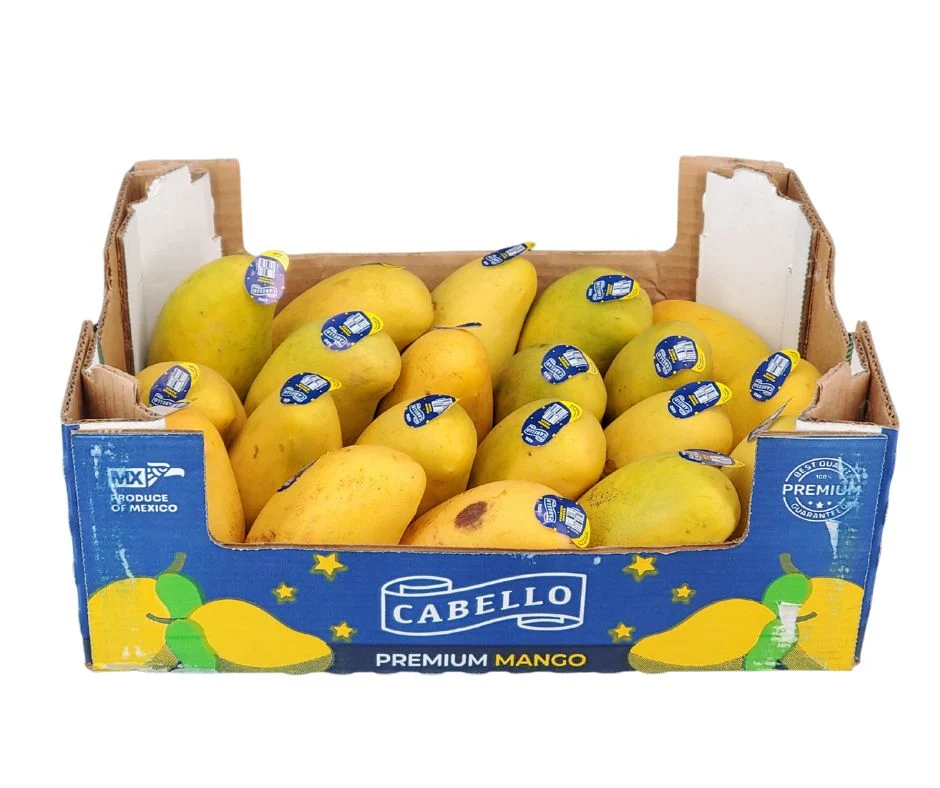 Fresh - Ataulfo Mango (Size 20) - PrMa105 — Case (20 CT)