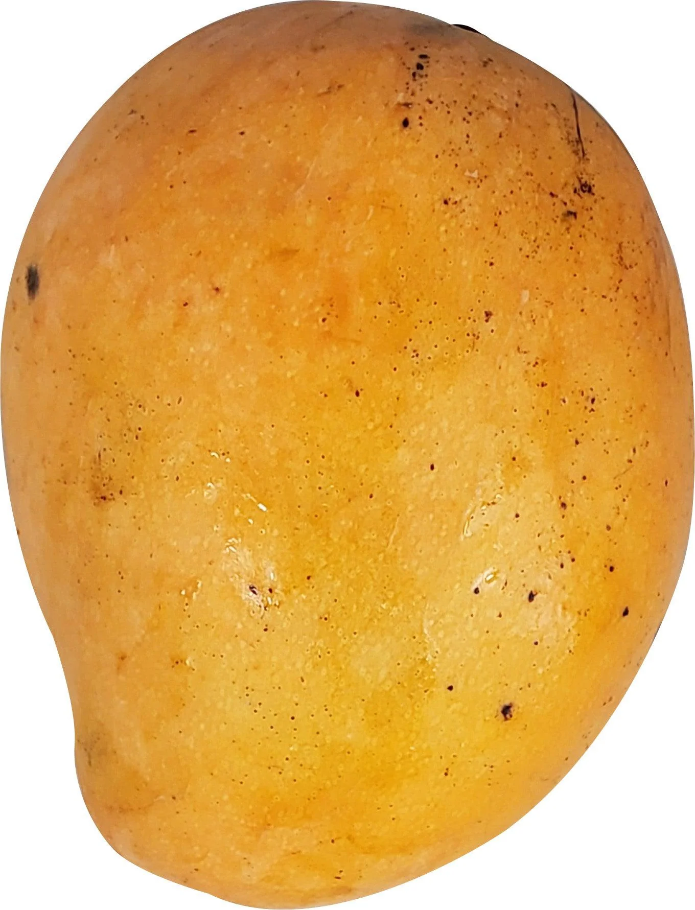 Fresh - Tommy/Haden/Kent Mango (Size 6) — Each (1 CT)