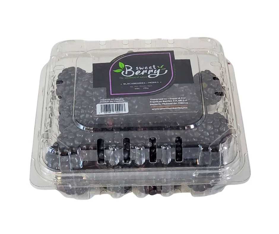 Fresh - Blackberry 12 Oz — Each (1 CT)
