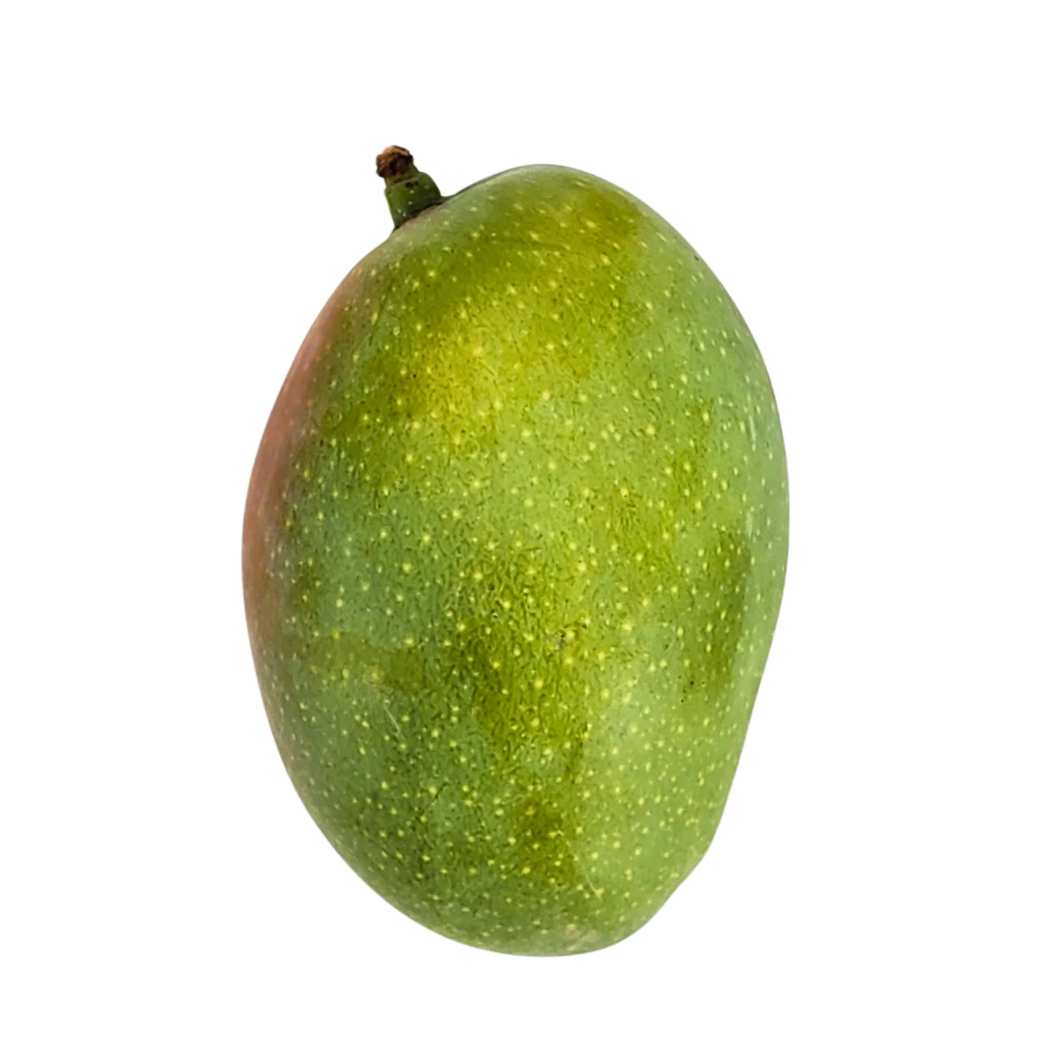 Fresh - Baby Mango — Each (1 CT)